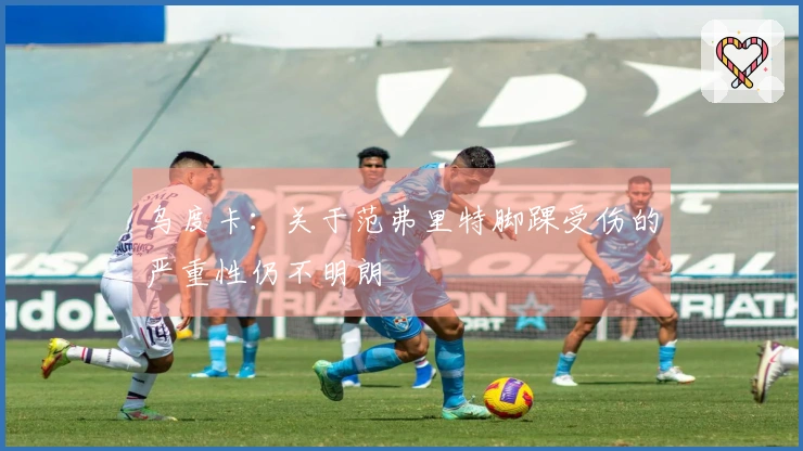 乌度卡：关于范弗里特脚踝受伤的严重性仍不明朗
